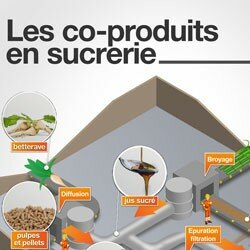 Les co-produits en sucrerie 