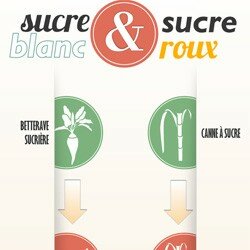 D’où vient le sucre blanc ? D’où vient le sucre roux ? 