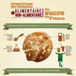 Utilisations alimentaires et non-alimentaires du sucre - 20...