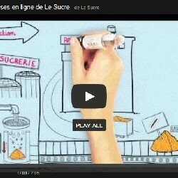 Le sucre blanc est-il raffiné ? 