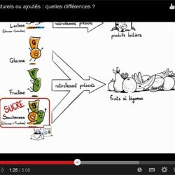 Vidéo Sucres naturels sucres ajoutés